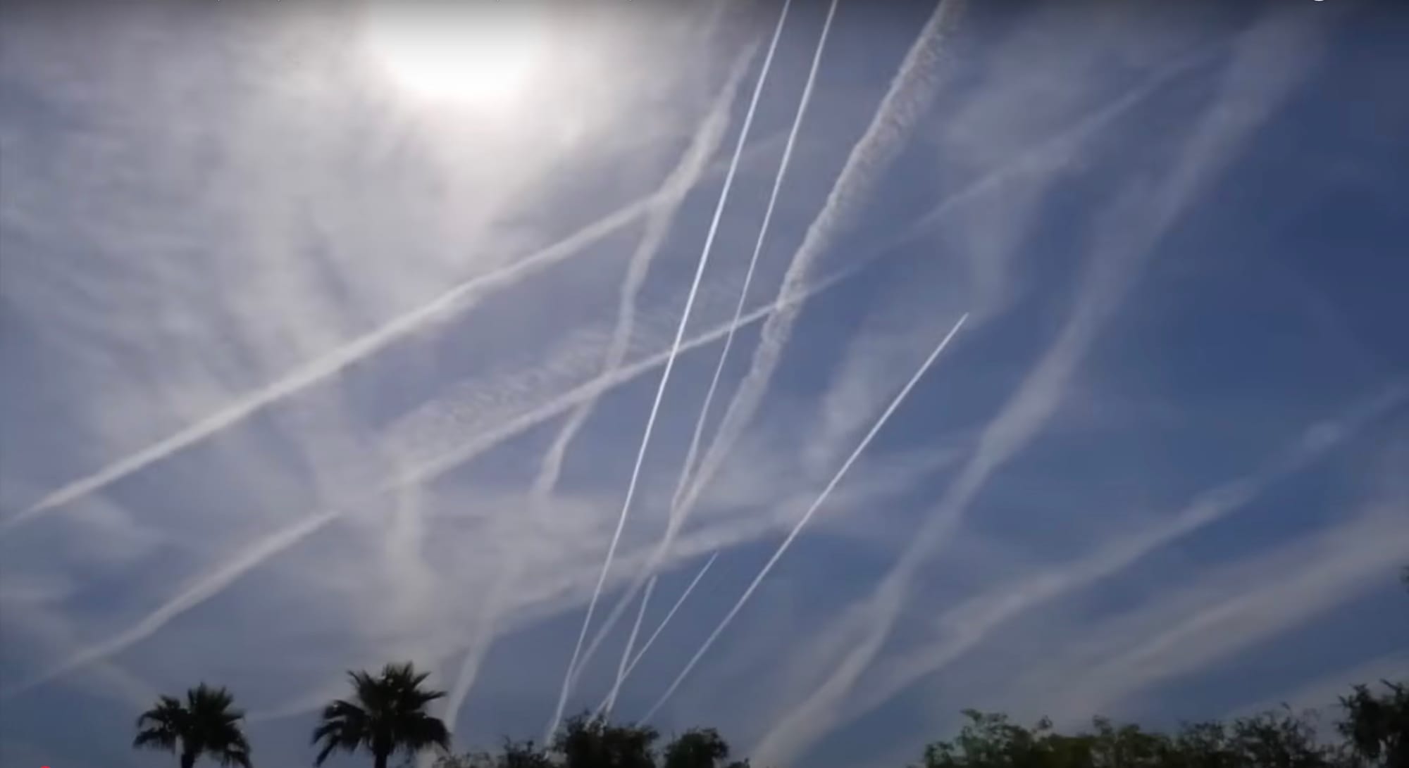 Frankenskies