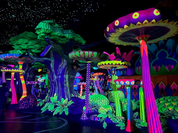 201 - Review the year - 2025